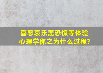 喜怒哀乐悲恐惊等体验,心理学称之为什么过程?