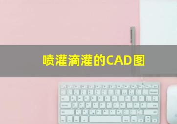 喷灌、滴灌的CAD图