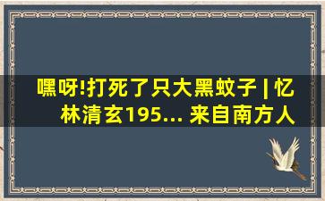 嘿呀!打死了只大黑蚊子 | 忆林清玄(195... 来自南方人物周刊 