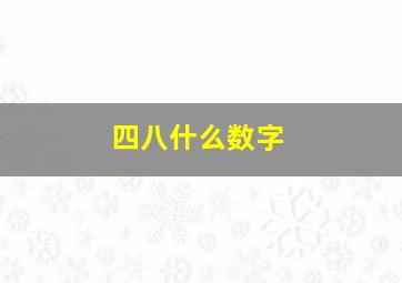 四八什么数字