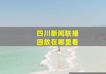 四川新闻联播回放在哪里看