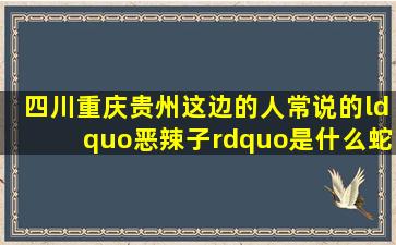 四川重庆贵州这边的人常说的“恶辣子”是什么蛇?