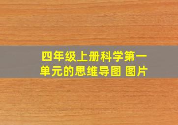 四年级上册科学第一单元的思维导图 图片