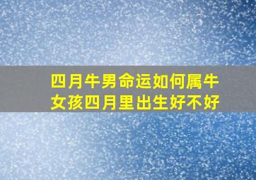 四月牛男命运如何,属牛女孩四月里出生好不好