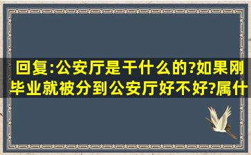 回复:公安厅是干什么的?如果刚毕业就被分到公安厅好不好?属什么级别?