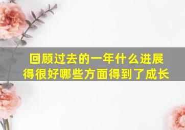 回顾过去的一年什么进展得很好,哪些方面得到了成长