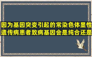 因为基因突变引起的常染色体显性遗传病,患者致病基因会是纯合还是...