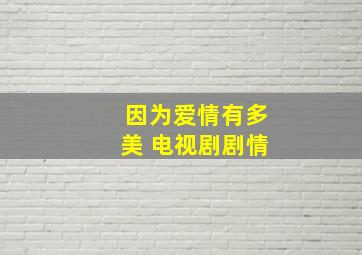 因为爱情有多美 电视剧剧情