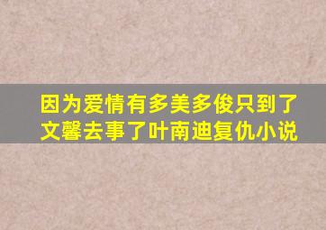 因为爱情有多美多俊只到了文馨去事了叶南迪复仇小说