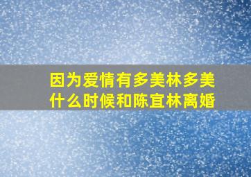 因为爱情有多美林多美什么时候和陈宜林离婚