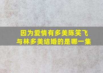 因为爱情有多美陈笑飞与林多美结婚的是哪一集