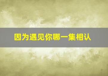 因为遇见你哪一集相认