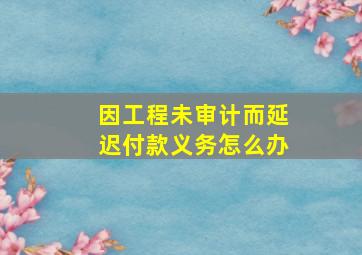 因工程未审计而延迟付款义务怎么办(