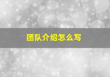 团队介绍怎么写