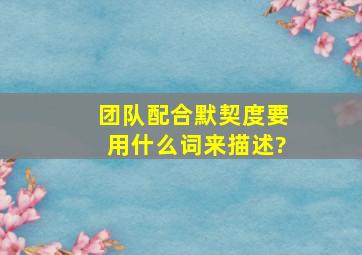 团队配合默契度要用什么词来描述?