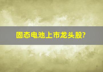 固态电池上市龙头股?