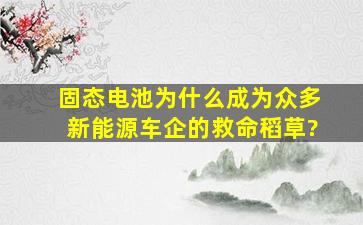 固态电池为什么成为众多新能源车企的救命稻草?