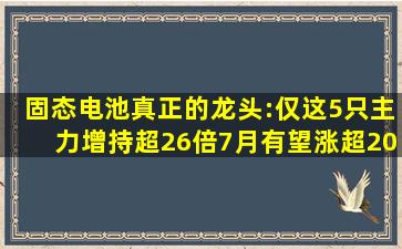 固态电池真正的龙头:仅这5只,主力增持超26倍,7月有望涨超200%