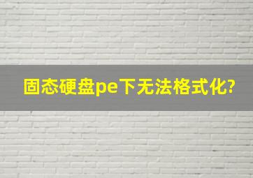 固态硬盘pe下无法格式化?