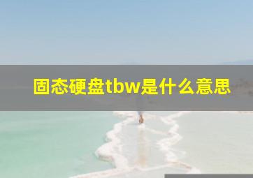 固态硬盘tbw是什么意思(