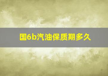 国6b汽油保质期多久(