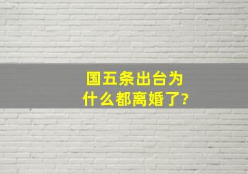 国五条出台,为什么都离婚了?