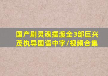 国产剧《灵魂摆渡》全3部(巨兴茂执导)国语中字/视频合集