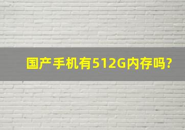 国产手机有512G内存吗?