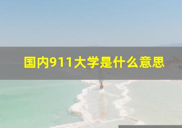 国内911大学是什么意思