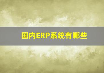 国内ERP系统有哪些(