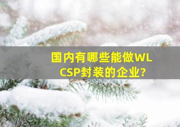 国内有哪些能做WLCSP封装的企业?
