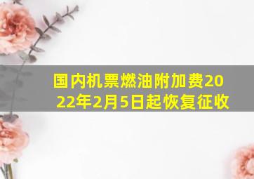 国内机票燃油附加费2022年2月5日起恢复征收(