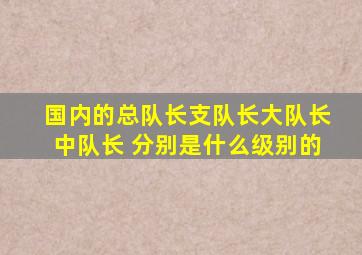 国内的总队长、支队长、大队长、中队长 分别是什么级别的