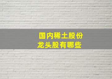 国内稀土股份龙头股有哪些 