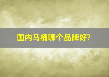 国内马桶哪个品牌好?