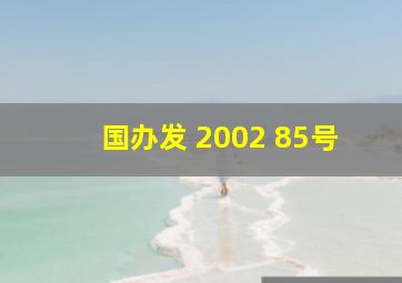 国办发 2002 85号