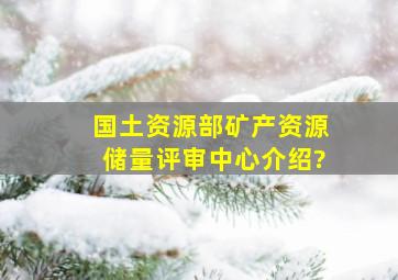 国土资源部矿产资源储量评审中心介绍?