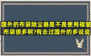 国外的布袋除尘器,是不是使用褶皱布袋很多啊?有去过国外的多说说