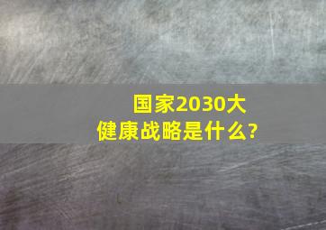 国家2030大健康战略是什么?