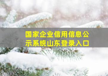 国家企业信用信息公示系统(山东)登录入口