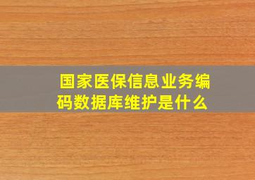 国家医保信息业务编码数据库维护是什么 