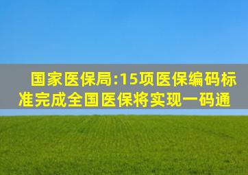 国家医保局:15项医保编码标准完成,全国医保将实现一码通 