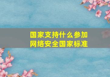 国家支持什么参加网络安全国家标准