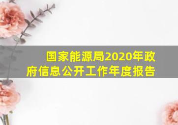 国家能源局2020年政府信息公开工作年度报告 