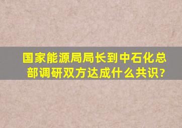 国家能源局局长到中石化总部调研,双方达成什么共识?