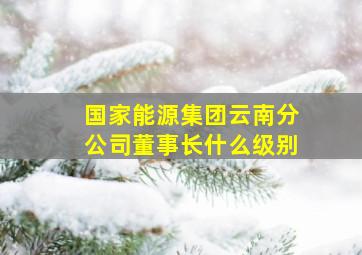 国家能源集团云南分公司董事长什么级别