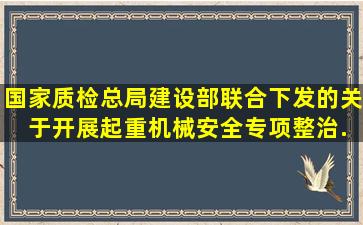 国家质检总局、建设部联合下发的《关 于开展起重机械安全专项整治...