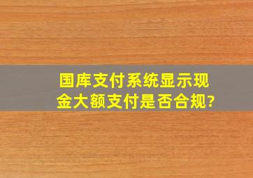 国库支付系统显示现金大额支付是否合规?