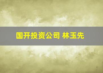 国开投资公司 林玉先