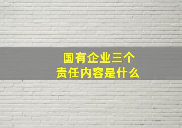 国有企业三个责任内容是什么